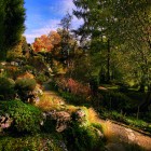 Bern_Botanischer Garten